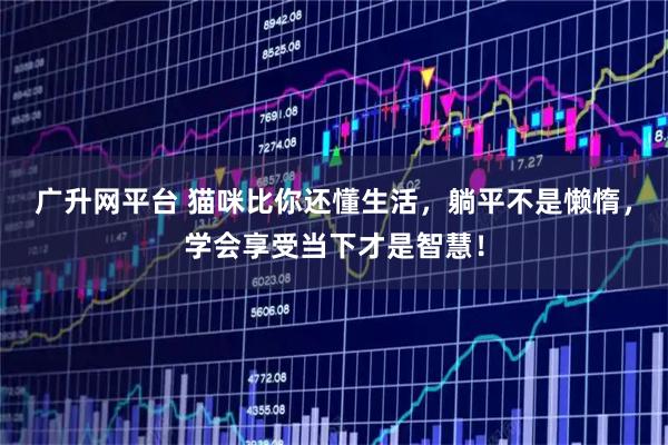 广升网平台 猫咪比你还懂生活，躺平不是懒惰，学会享受当下才是智慧！