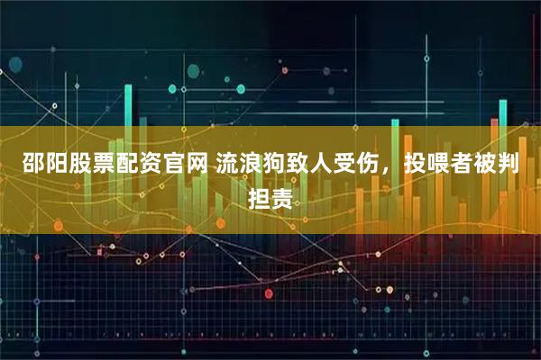 邵阳股票配资官网 流浪狗致人受伤，投喂者被判担责